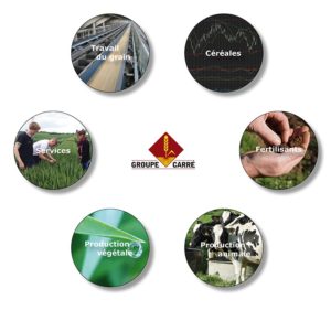 savoir faire du groupe carré - négoce agricole