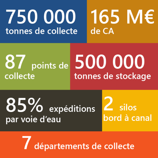 sauvegarde-illustration-EG-collecte sauvegarde-illustration-EG-collecte