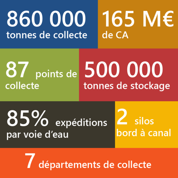 sauvegarde-illustration-EG-collecte sauvegarde-illustration-EG-collecte