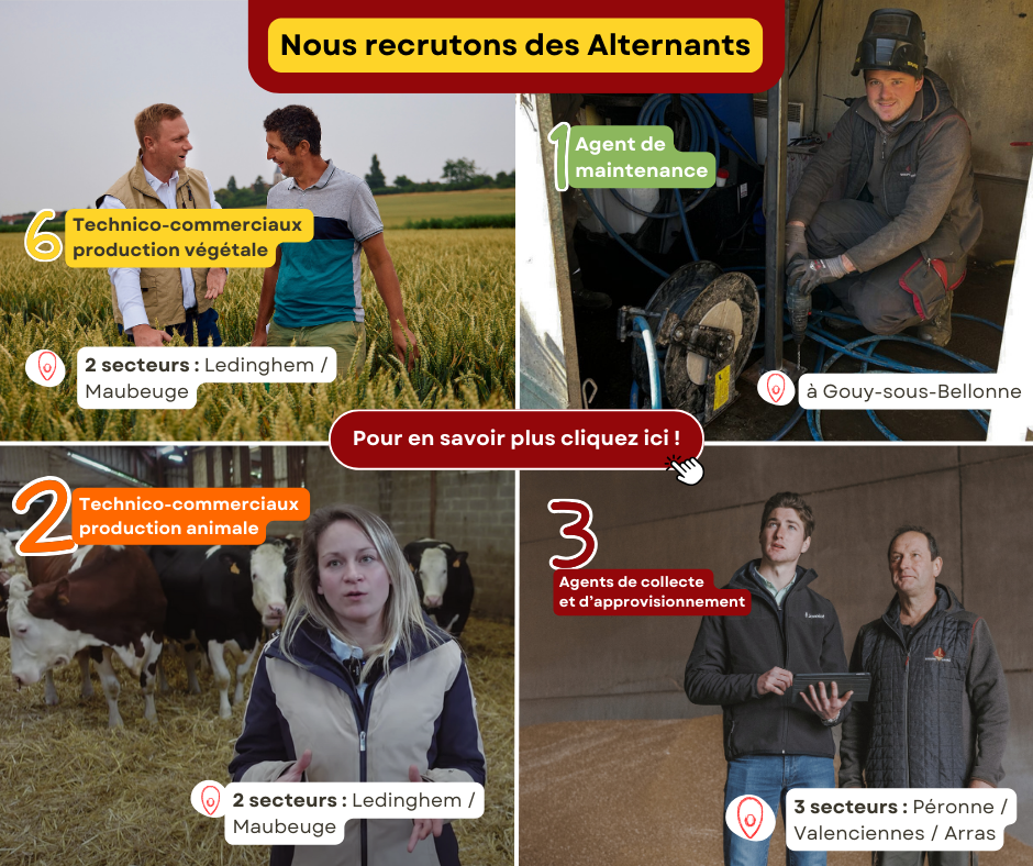 Tu es majeur Postule dès maintenant ! (1)