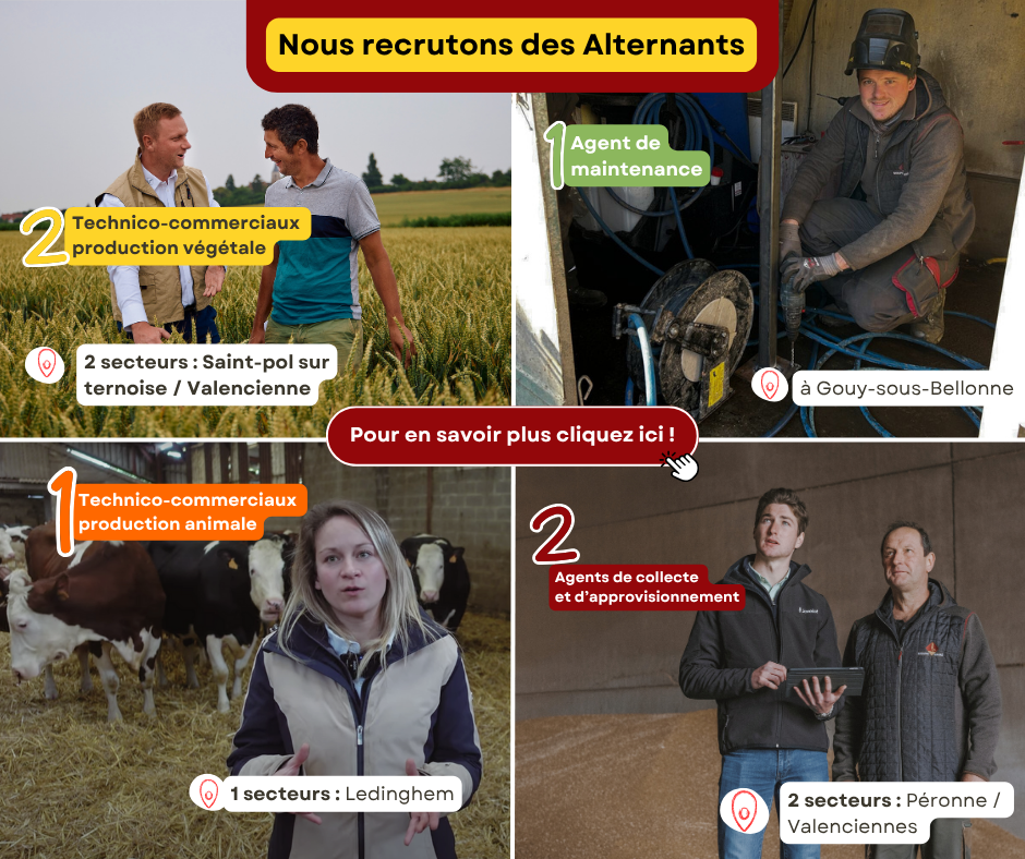 Tu es majeur Postule dès maintenant ! (2)