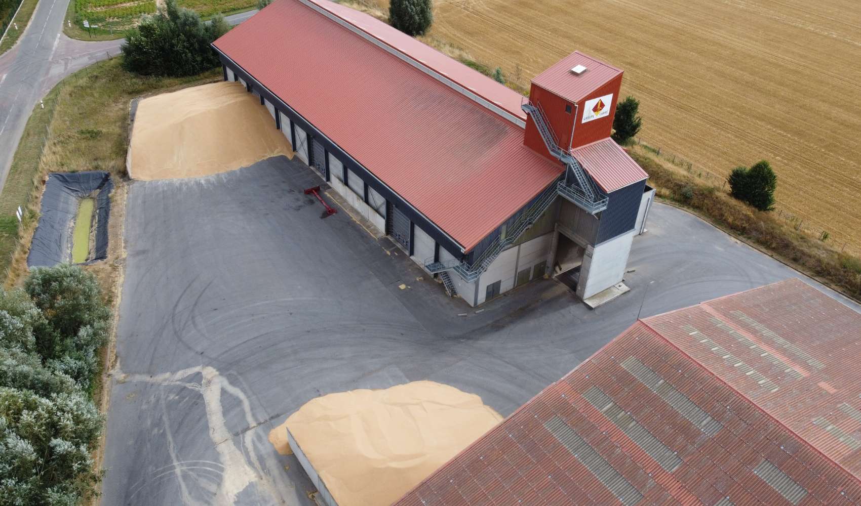 Grains