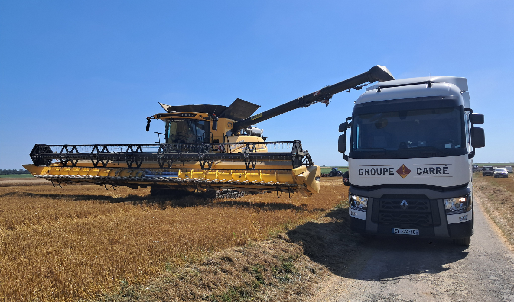 Grains