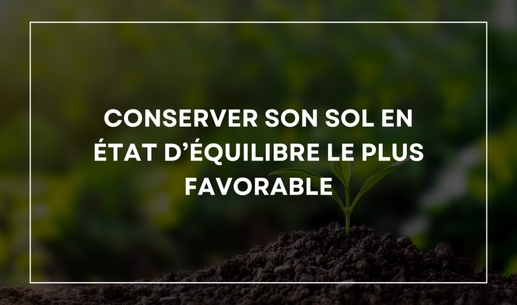 CONSERVER-1536x904_2