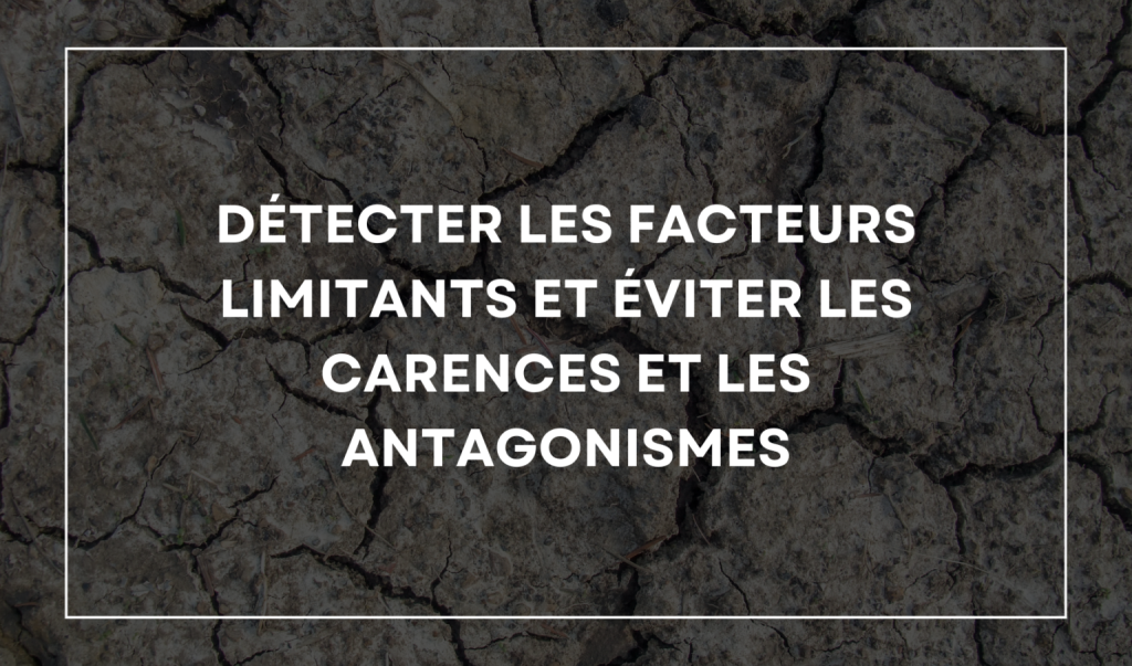 DETERCTER-deux-1536x904_2