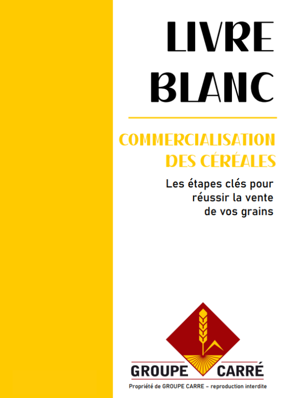 Design-sans-titre-3_2