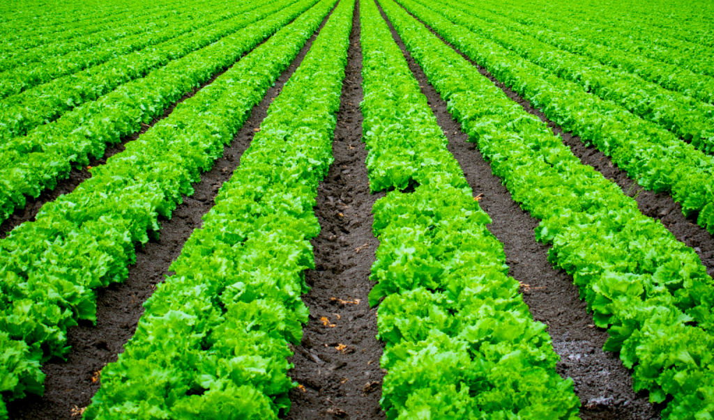 PROXIMITE-7-1536x904_2