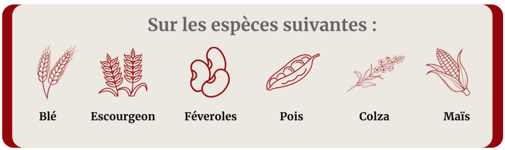 liste-espece-1536x457_2