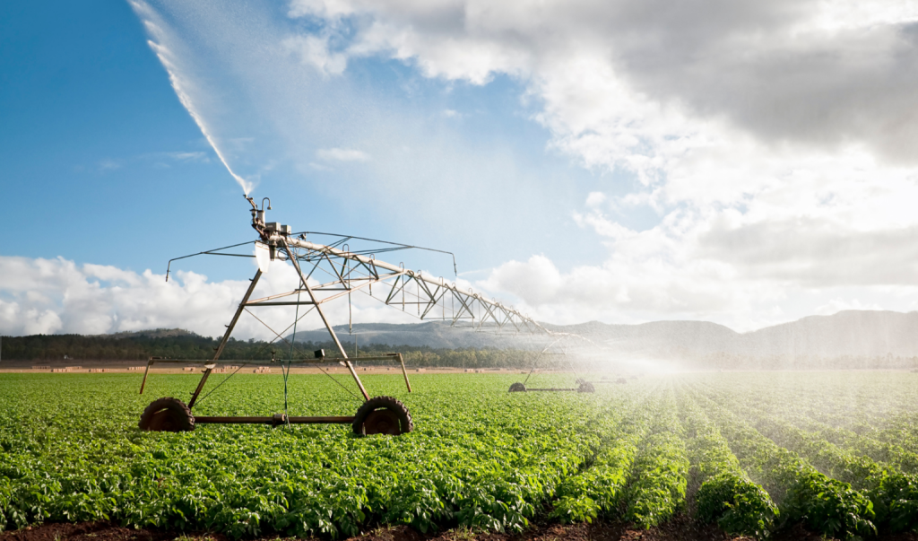 vegetaux-agricols-1-1536x904_2