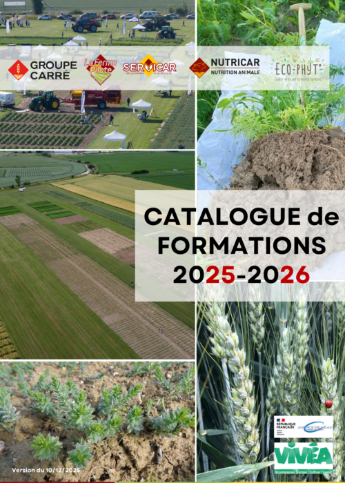 Catalogue formations 2025-2026